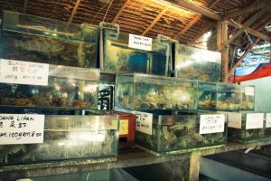 37576_410951552739_594742739_4705314_2547544_n