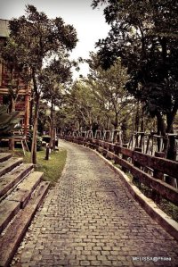 33486_437354252739_594742739_5349728_6855014_n