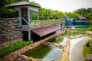 33743_437358717739_594742739_5349872_3386483_n