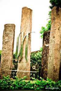 62010_437352222739_594742739_5349671_6610440_n