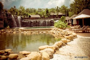 62884_437356362739_594742739_5349787_7518786_n