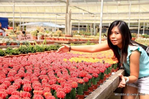 321680_10150381027127740_594742739_8529450_1243186845_n