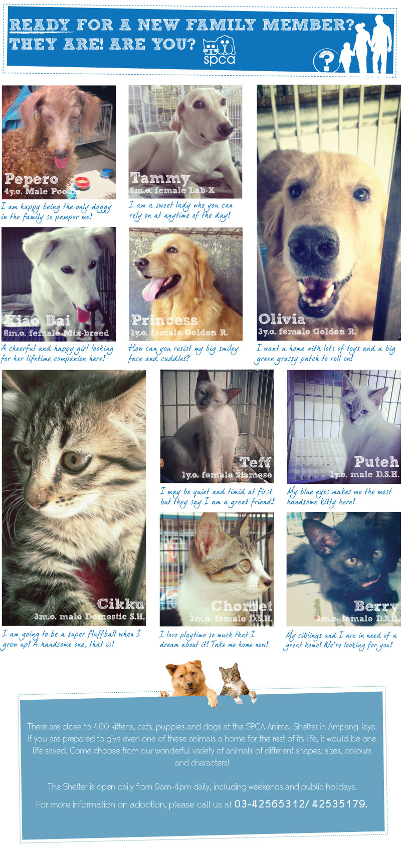 22April2013_AdoptionEnews