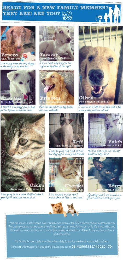 22April2013_AdoptionEnews