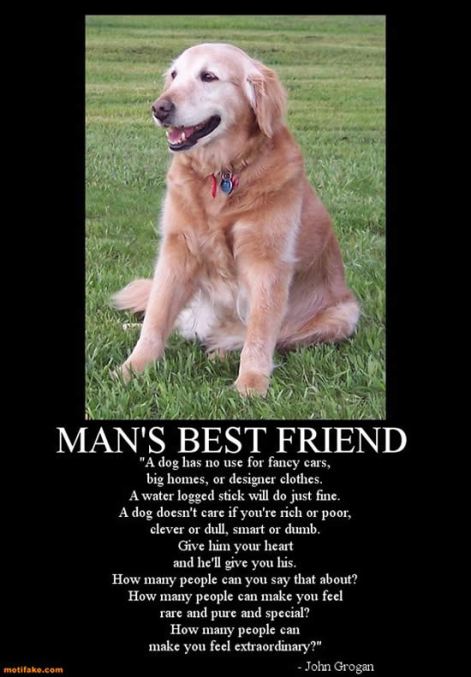 dogs_mans_best_friend_1